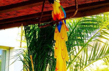 La Breizh'îlienne - Photo 3