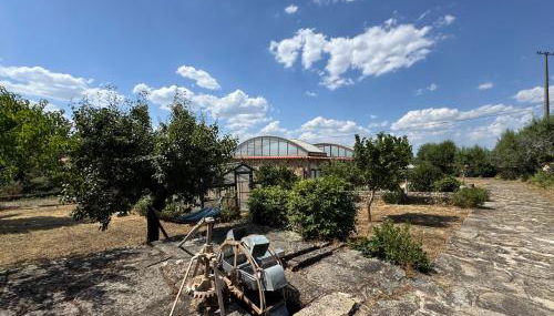 Juízo Country Houses - Foto 5, Garden, Garden view
