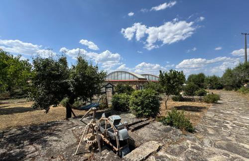 Juízo Country Houses - Foto 5