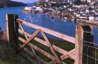 Hope Thatch - Foto 48