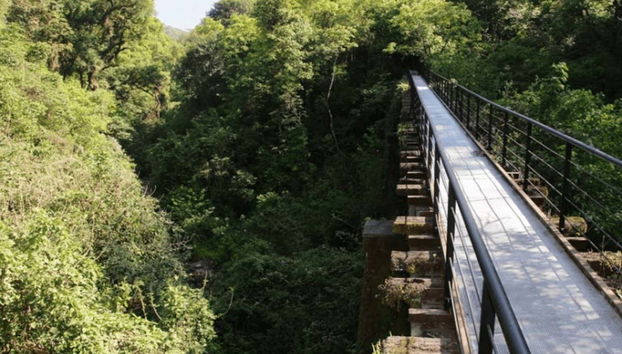 Un caminito de San Javier