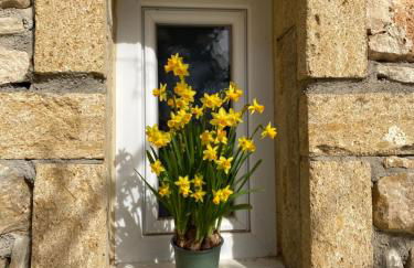 Mas La Resse - Foto 42