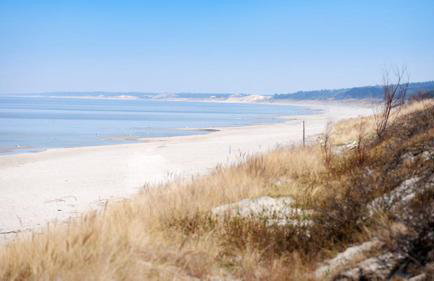 Four Winds - Foto 19