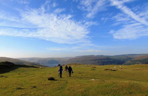 Gwilym's Stable - Foto 15