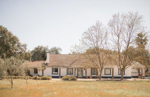 Quinta do Archino - Foto 6