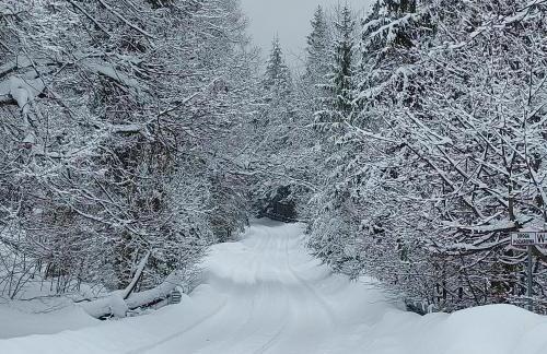 Villa Eva & Lilou Pod Rysianką - Foto 45