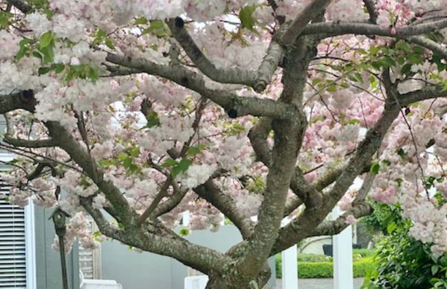 Amuri Villas - Foto 32