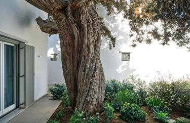 Private Luxury Scarlet beachfront villa, Molos, Paros - Photo 38