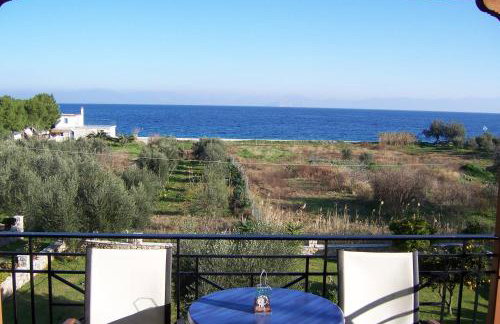 Manto Studios - Photo 80