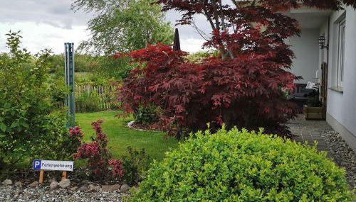 Ferienwohnung "An den Wiesen" - Foto 4, Garden