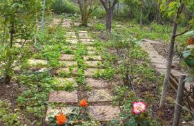 Saint Anna Country House. - Photo 35