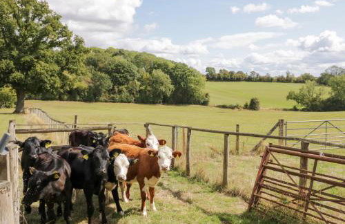 The Cow Shed - Foto 30