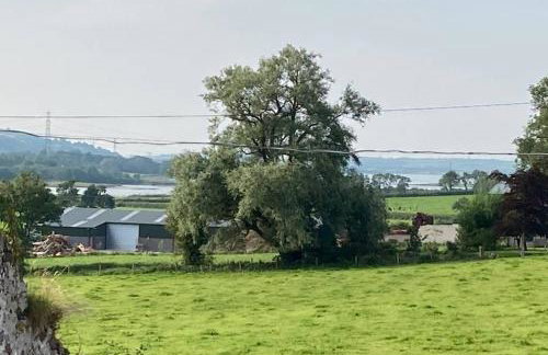 Temple-Effin Self Catering Holiday Cottage - Foto 33