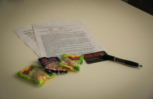 Ferienwohnung Air-Base - Playmobil, Messe, Nürnberg, Fürth, Ansbach in 20 Minuten erreichbar - Foto 34