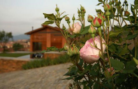 Residenza la beccata - Photo 14