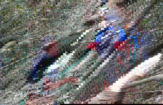 El Nido Cerro Azul - Foto 48