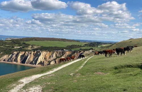 Honey Cottage - Photo 13