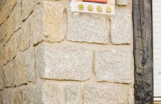 Don Mauricio y periquines - Foto 39