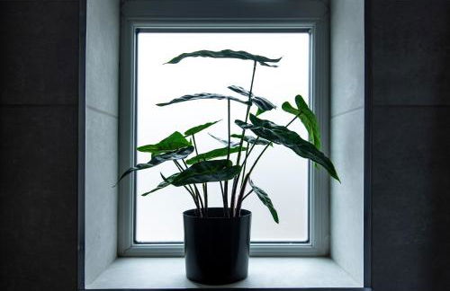 3 Bedroom Terraced House in Beeston Ideal for Corporate Stays - Foto 24