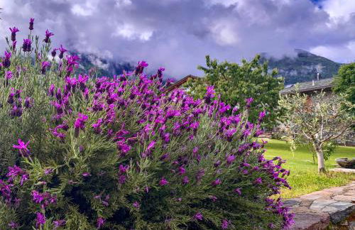 La Volta - Historic Molino Maufet Watermill - Lake Como - Foto 45