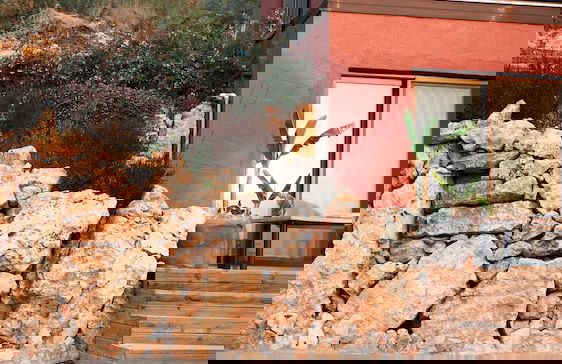 Kikonia Art & Suites - Foto 79