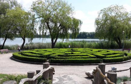 Agroturystyka Polana Harmonii - Foto 41