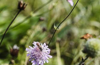 Talblick 5, mit Sauna und wunderschönen Panoramablick NEU - Foto 24