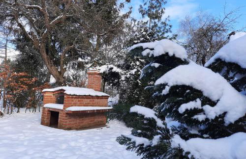 Dworska Zagroda - Foto 56