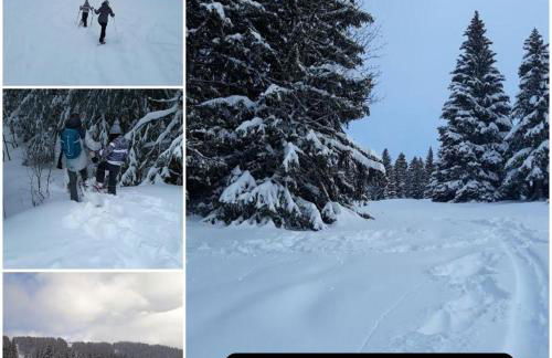 Entre Lacs Et Montagnes , Maison individuelle,lits préparés, parking et ménage inclus - Foto 26