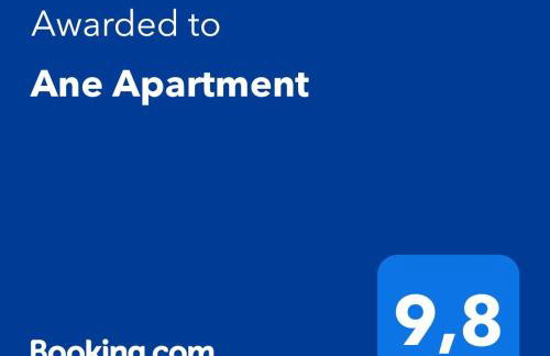 Ane Apartment - Foto 64