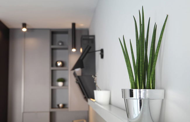 Temple Apartments - Foto 39