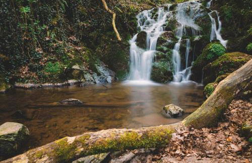 Haus am Berg - Photo 16
