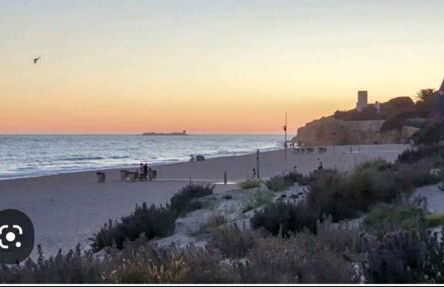 Casa Pelicano - Foto 10