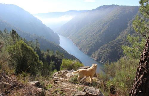 Casa Solveira - Foto 44