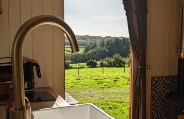 Stunning Shepherd's Hut Retreat North Devon - Foto 19