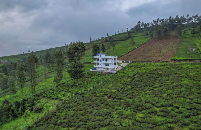 Akshu's Nest - Photo 22