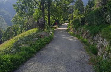 LA MAGNOLIA 2.0 - Foto 29