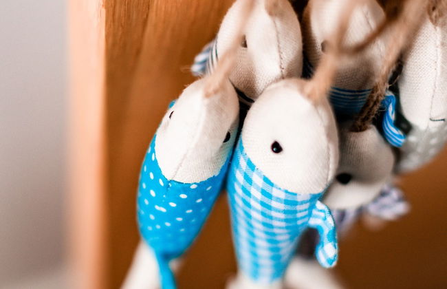 Jules By The Sea Anstruther - Foto 17