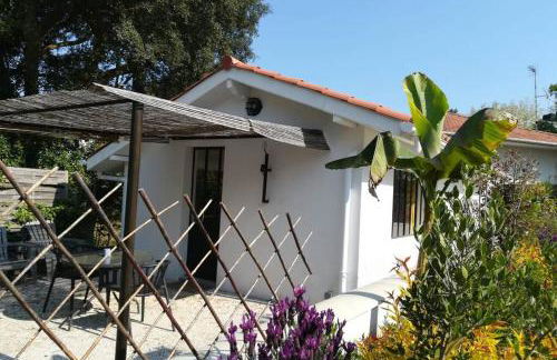 L'annexe des Cigales, à l'ombre des chênes lièges - Foto 22