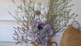 LUKA- cozy apartment - Foto 4