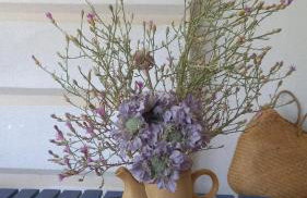 LUKA- cozy apartment - Foto 4