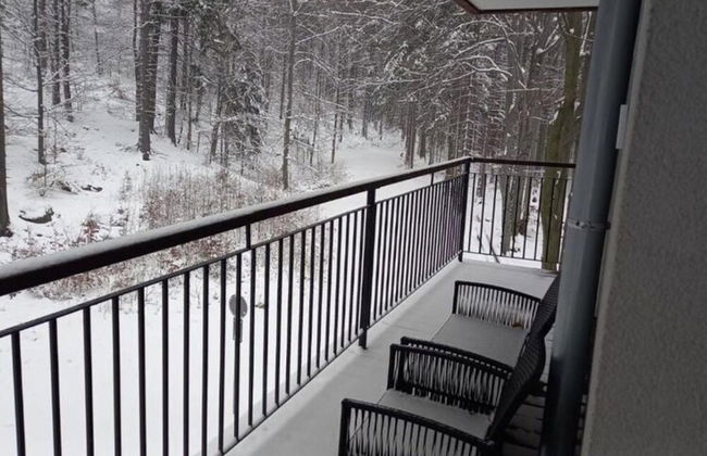 Apartment in Szklarska Poreba With Mountains View - Photo 16