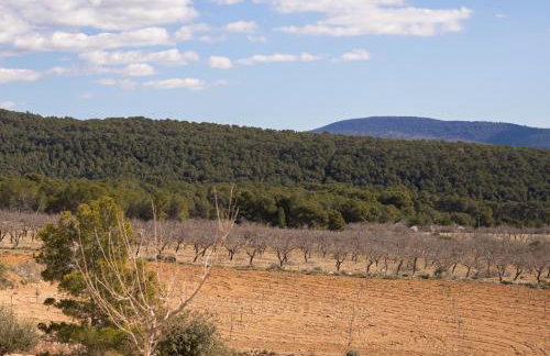 Villa para grupos 12 personas con piscina, barbacoa y finca de 50ha en Alicante - Foto 14