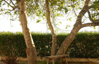 Quinta do Marmeleiro - Casa Marmeleiro - Foto 57