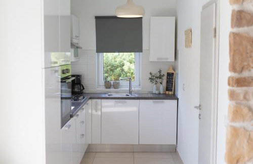 Villa Pleše - Foto 3