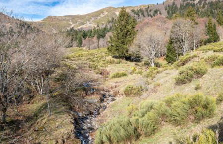 Résidence récente au Lioran à proximité des remontées mécaniques - Photo 51