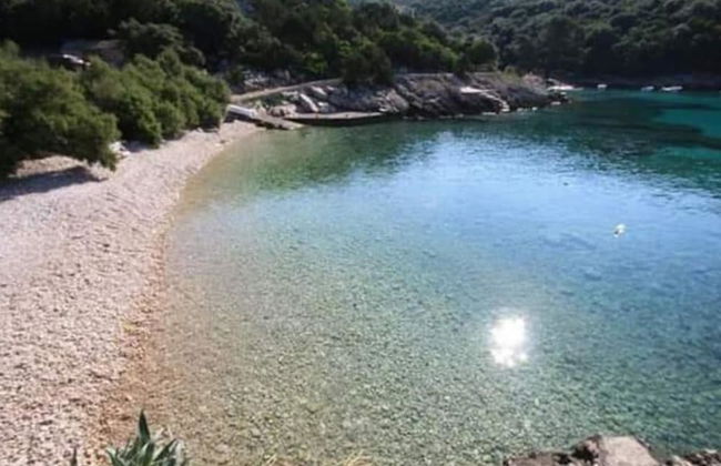 Cozy Robinson Crusoe-style House - Photo 14