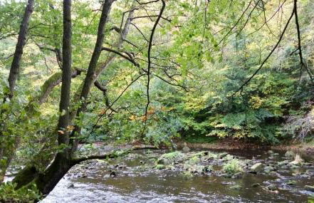 Harrogate 100 - Foto 17