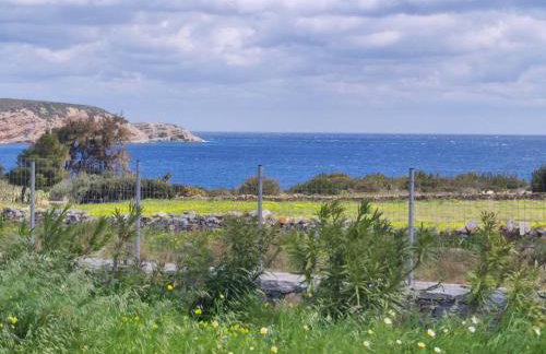 Mitatos "Matthew" - Foto 47