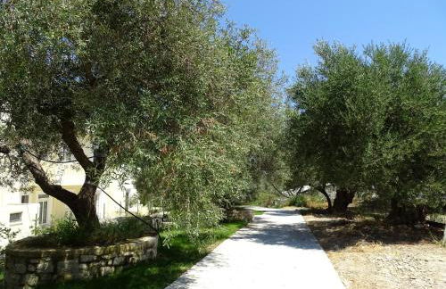 Lyrids Apartments - Photo 82